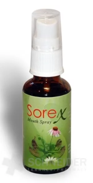 Sorex