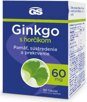 GS Ginkgo 60 mg mit Magnesium