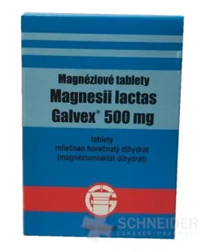 Magnesii lactas Galvex 500 mg