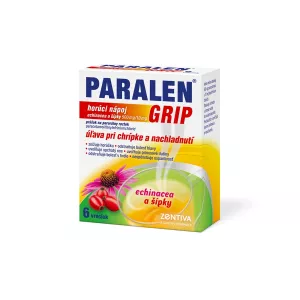 PARALEN GRIP Heißgetränk Echinacea und Hagebutten 500 mg /10 mg