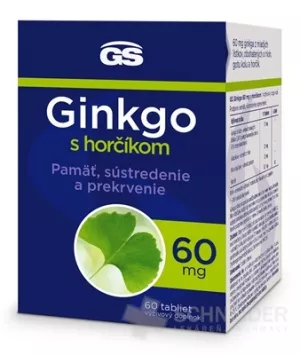 GS Ginkgo 60 mg mit Magnesium