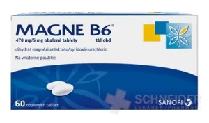 MAGNE-B6