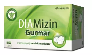 DIAMizin Gurmar 50 Kapseln